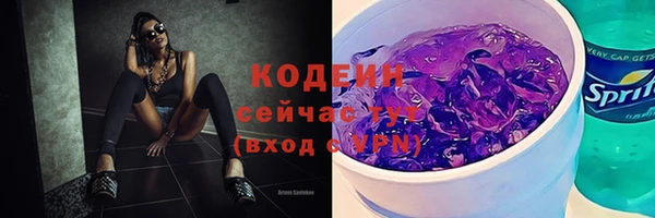 тгк Богданович